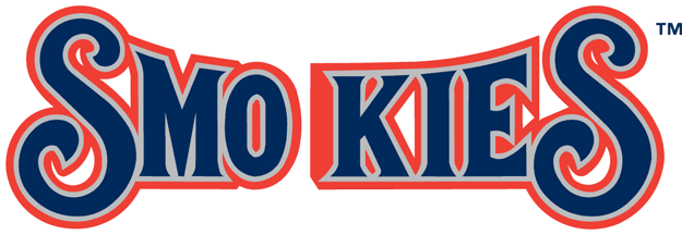 Tennessee Smokies 2000-2014 Wordmark Logo iron on transfers for clothing